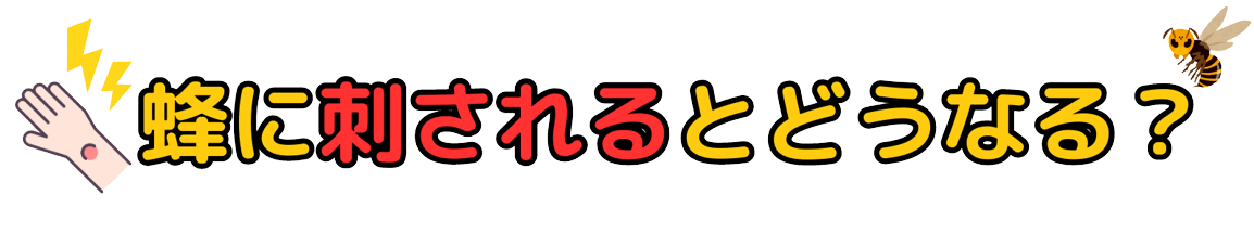 蜂に刺されるとどうなる？