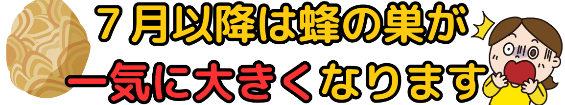 ７月以降は蜂の巣が一気に大きくなります