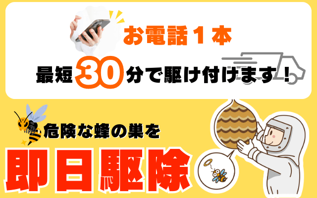 お電話１本最短３０分で駆け付けます！危険な蜂の巣を即日駆除致します！